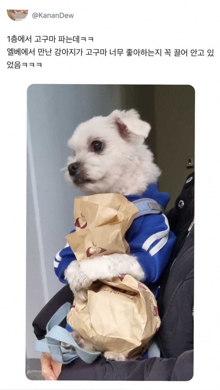 6b1b3266dbf89c3e56e54933f00133c71d099eebef5088e504520439e94d682abff299415cbf38f3548e9f499d4ba841fea6ca733f210f2544279cedad692f8a