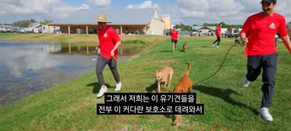 6b56fdb4d9b32c81d414273633b93dae9bb1928500b2394c2d0e95cbce04d022f1d03c6e9a23f4b9a296f7a5c9cd1f1c5df42ac19116b72335776efae7fe30d5