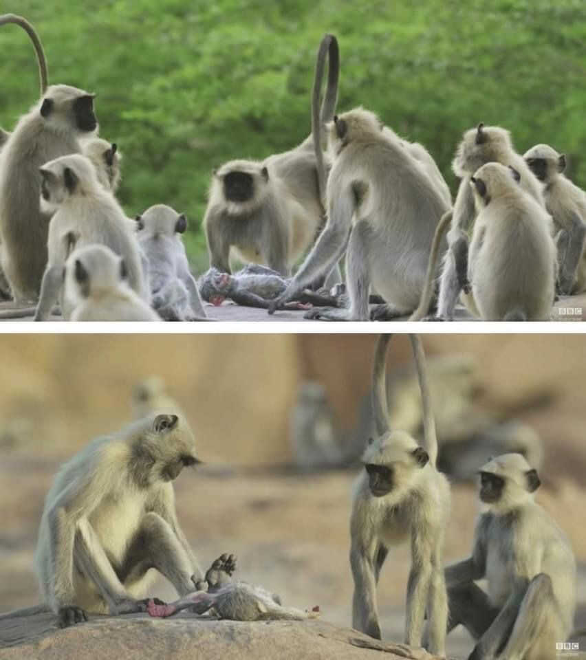 6b66d603f882e0a69348e9b6ca008d98c6e1ae78c414e0f6484c518b687303051eb63ab492f3a06d2aba9c44c18de8b4a6499438f1ea2421917991620b1b7503