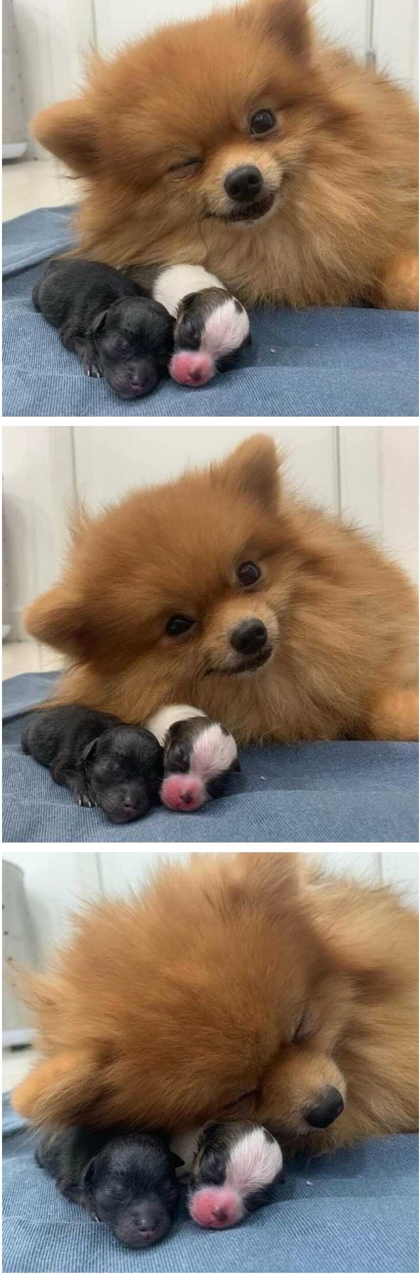 6d1ad30f9ae2b716484f862c01b78e1d9987c42aad0fb9877f73330fc3aa05f56356512eb1fa0158cbe39c0dd100a3d18d68f95ba4fbe89a90ed7e4fc2ae3f8b