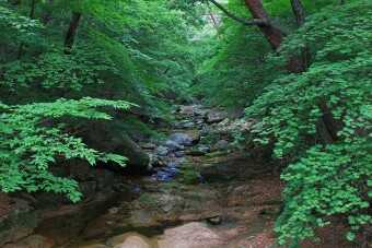 6d8b5650d921620b698f9416d4e33aef746d492196a36a8794ee0a9de1c204c889e4dbec70ebf8696186906f3cde92c032ab7ae4556b11f5853f6629db6e317a