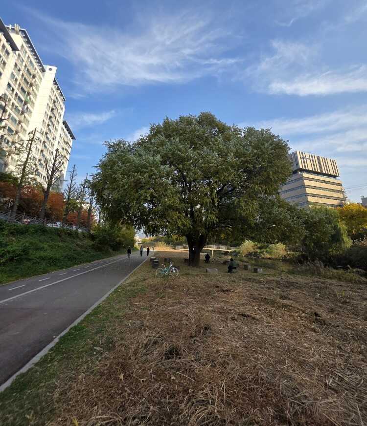 6ed2147de6db1aadea7c63a11e5542c2b483f05b9289b73f6aa87df86a306ece45f8f54058194e5ef0c90e7aa866ea44fbf8b2824a739d3a5d6036e03b5faee9