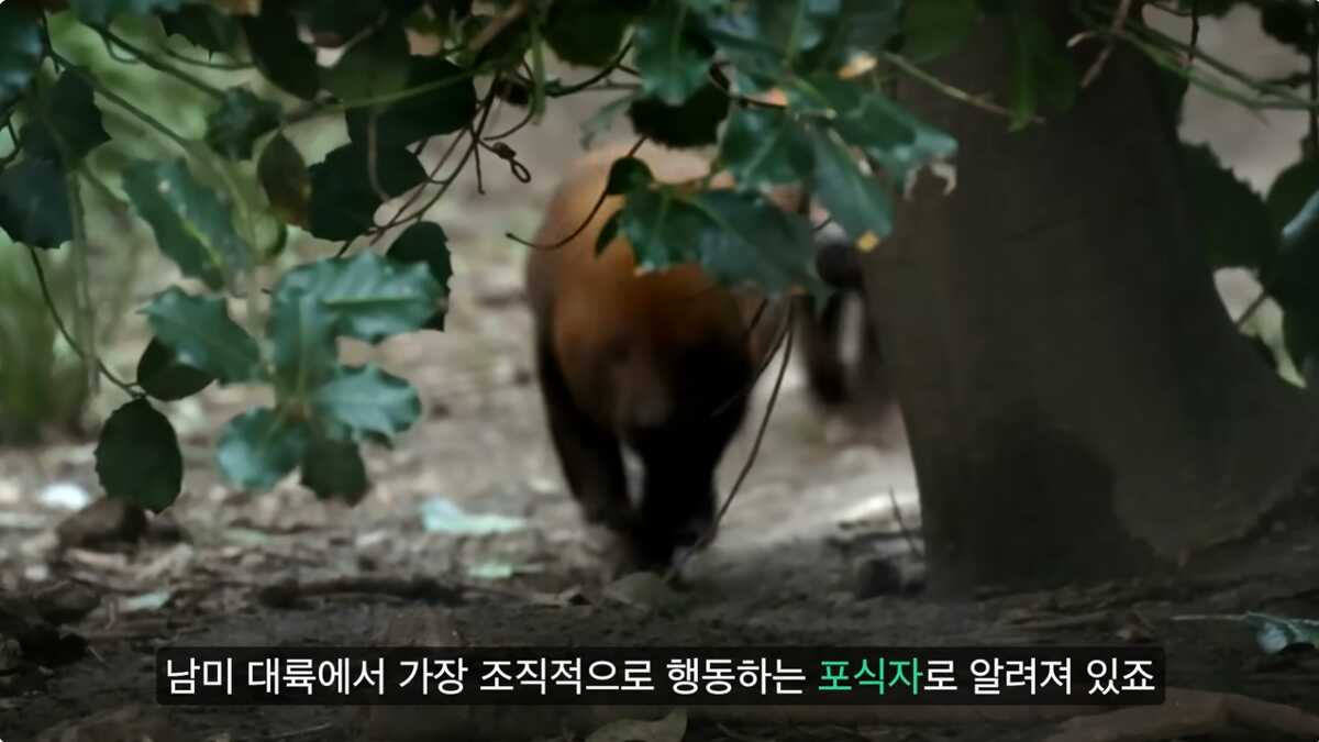 6f7a2b331339d991f44329230004ea425b54726f538d9aee95833a4d440044ff55adb23d4e3eee8b1298bc101c12970524b41322f9597fd7c0c2fb8de8a677dd