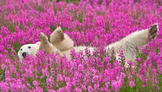 6f8e62d3fd4141b102a0390948a758115035d8ddbae9c5ae1c64707f30e374ca856aa7e85e191dc351c8004b460f5167e73c832b6ba93f6d9f6c653b193b5872