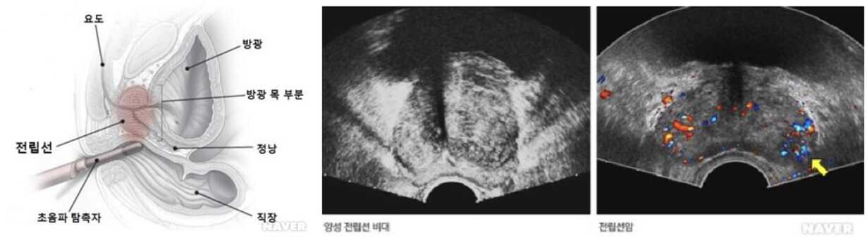 6fe2a3567689543845fcc40d078833744531cd781d37c011e52df26fcc8ca92a157ca6471c6f898b830e1cf85ec3d0e403ef53284ca80514c9233a778933e373