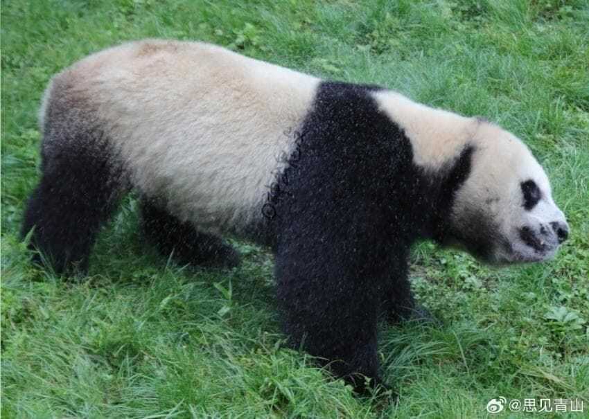 70371daaca00bb6b3bf221b90e34b74760857eb63f65f73adc0fa275b60a150e3415666e31b9b60441e35107174804a31f83d735b9d39877e13355578d0f059b