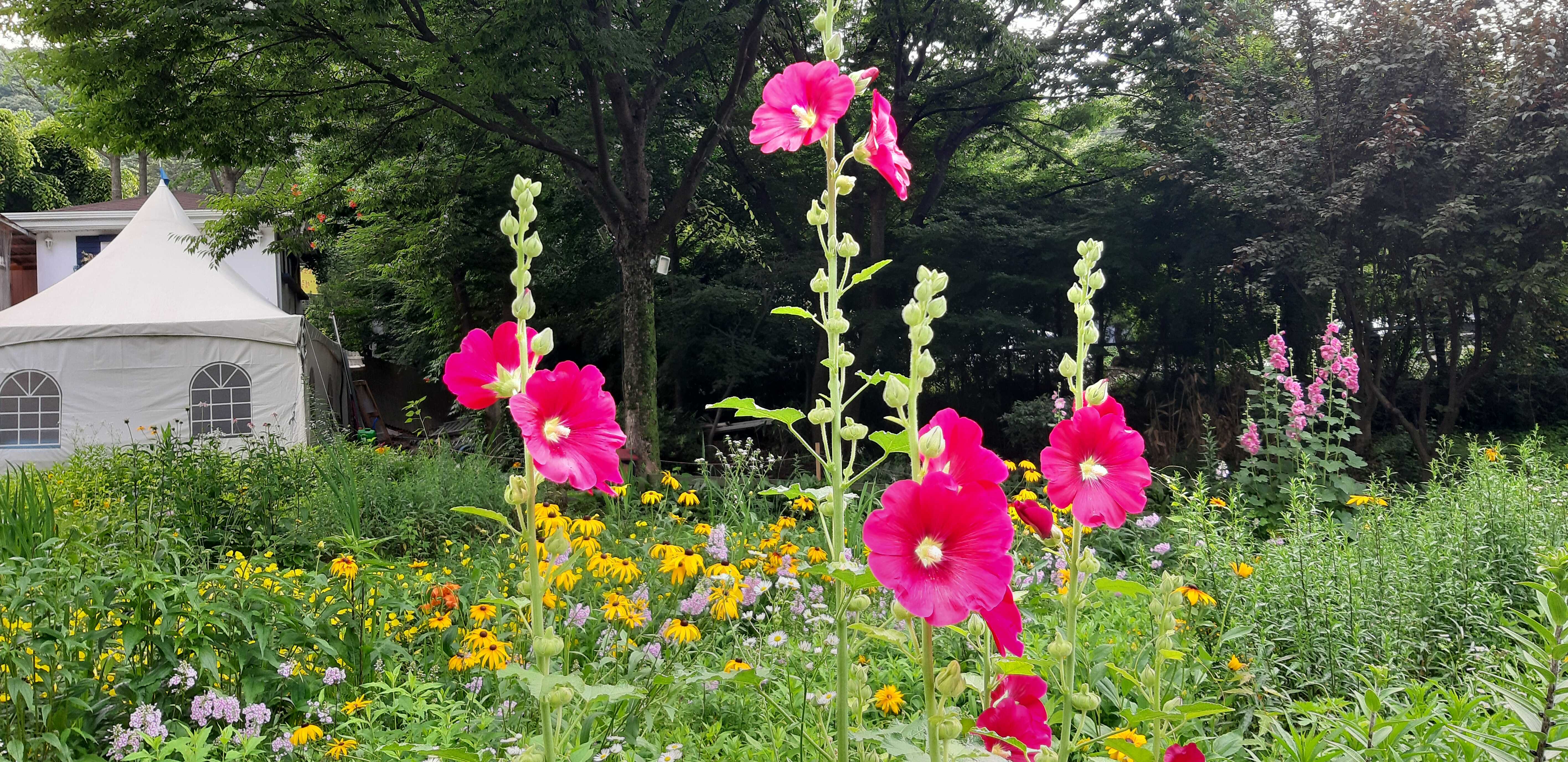 71050ded9d227d5847e12299c805933fd31cac96b6297144f7948dfcb02330bde21a3658e4fad4881218ffae031907fcd30c98b182630ff99c32c807370fb0d1