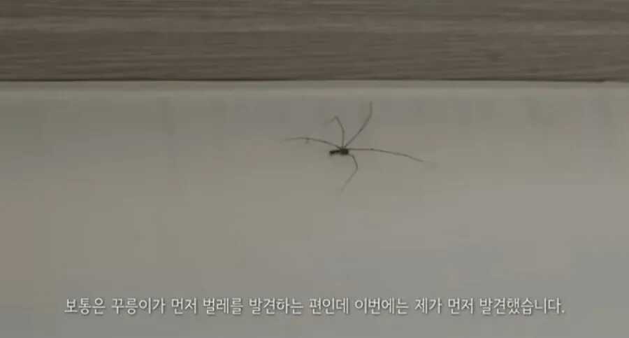 71324aba8b5e25f5411bff2daf02bed827dfe68a03689d5762ed08d239684297dd8be7bb2dacf2d9fb43480cc2a53f38eb03328118e0a4a47a9f97d7a5379735