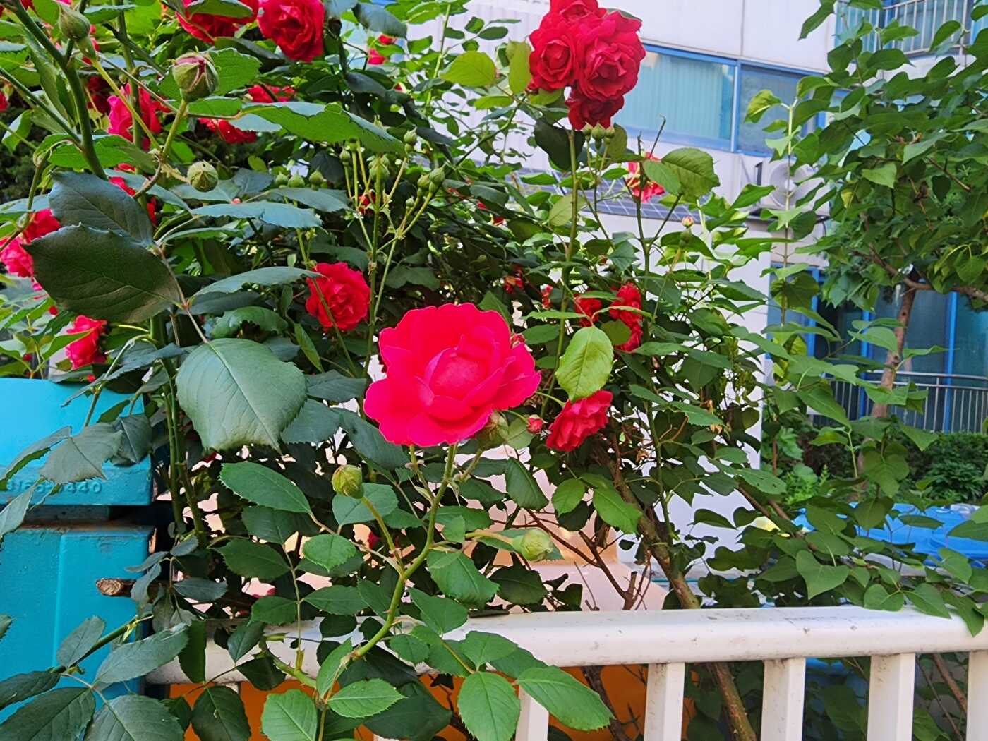 71acd0d925114a4481fdc49a9f27f035feb19e79fff27775f05ff9b35b81375697553bea703c3dd004c02438e559dd494f70efd505b5604fa860391b2a4773b6