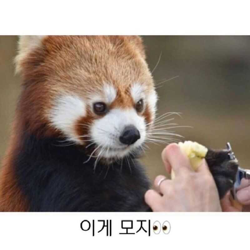 722111039423fea64fe090fc6a10bad63fad89703a1e9459c8aee56740bafc1acb6c8313cf02b8f046549eeca3aa029d2d15283d407ed84ee4fe10b017ab76a1