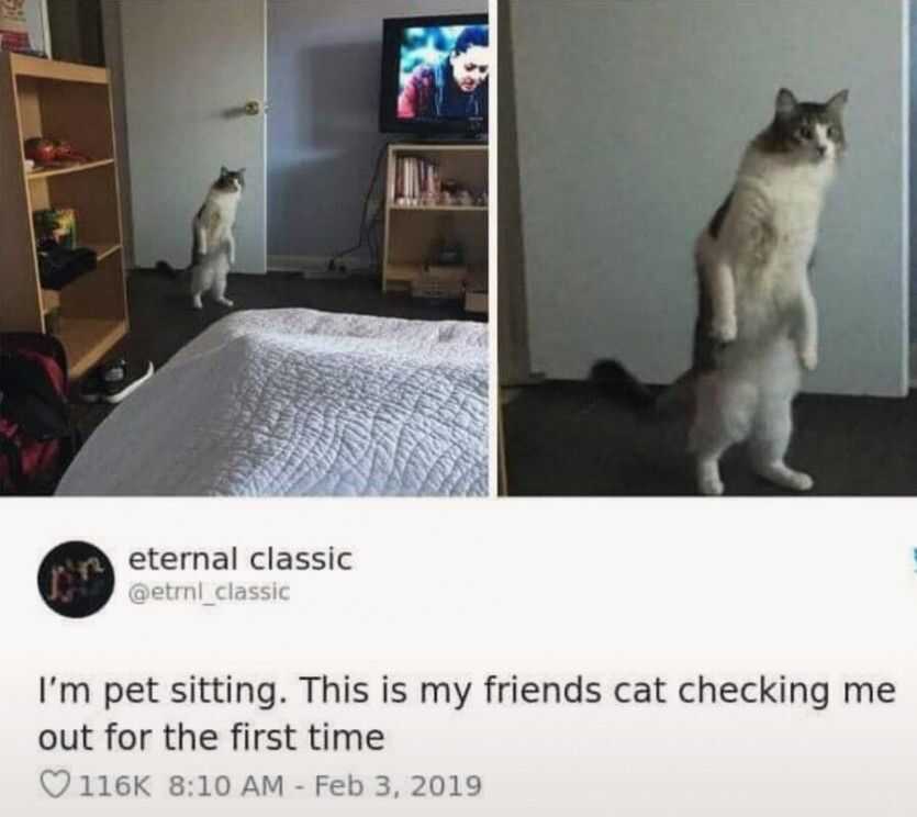 7236c3cdec7757d0b222a8985563d6cf455a4e6049c9140034964eacbe2266f284ec536adce342eec1baf895a61a941486e45d5ff24377cff2de15fdc2ddeeb6