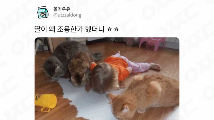 731a6f802cd3da2d0fe041d6f9cca27478d21fd6d0264164f207da4c55756812e3025d04258c3c689bdf2a32010d23e24921446e800e528c2ffd6b1855113f49