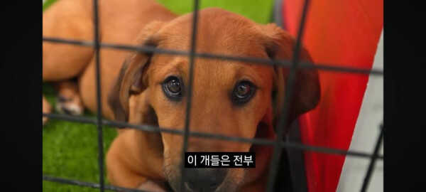 7529364ace2c91eff3ba5898f6513698eaedf24256f356682c541c054d1f1b2ac6b22cef934f72e94af8e5925349d740af6533451d7dcf5806dd39bc1036dfe9