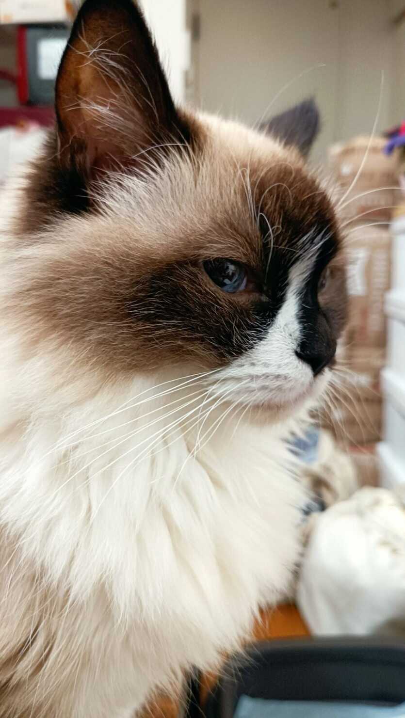 7532b5c2ee0f61667456ef47d9ca2fa7e0074006a5f7e8229ba7aa2c67a66efd1b346dac5b1795fe1c0d5e15397ffc822a69a00713ccfc44c500dedd0eed4c7c