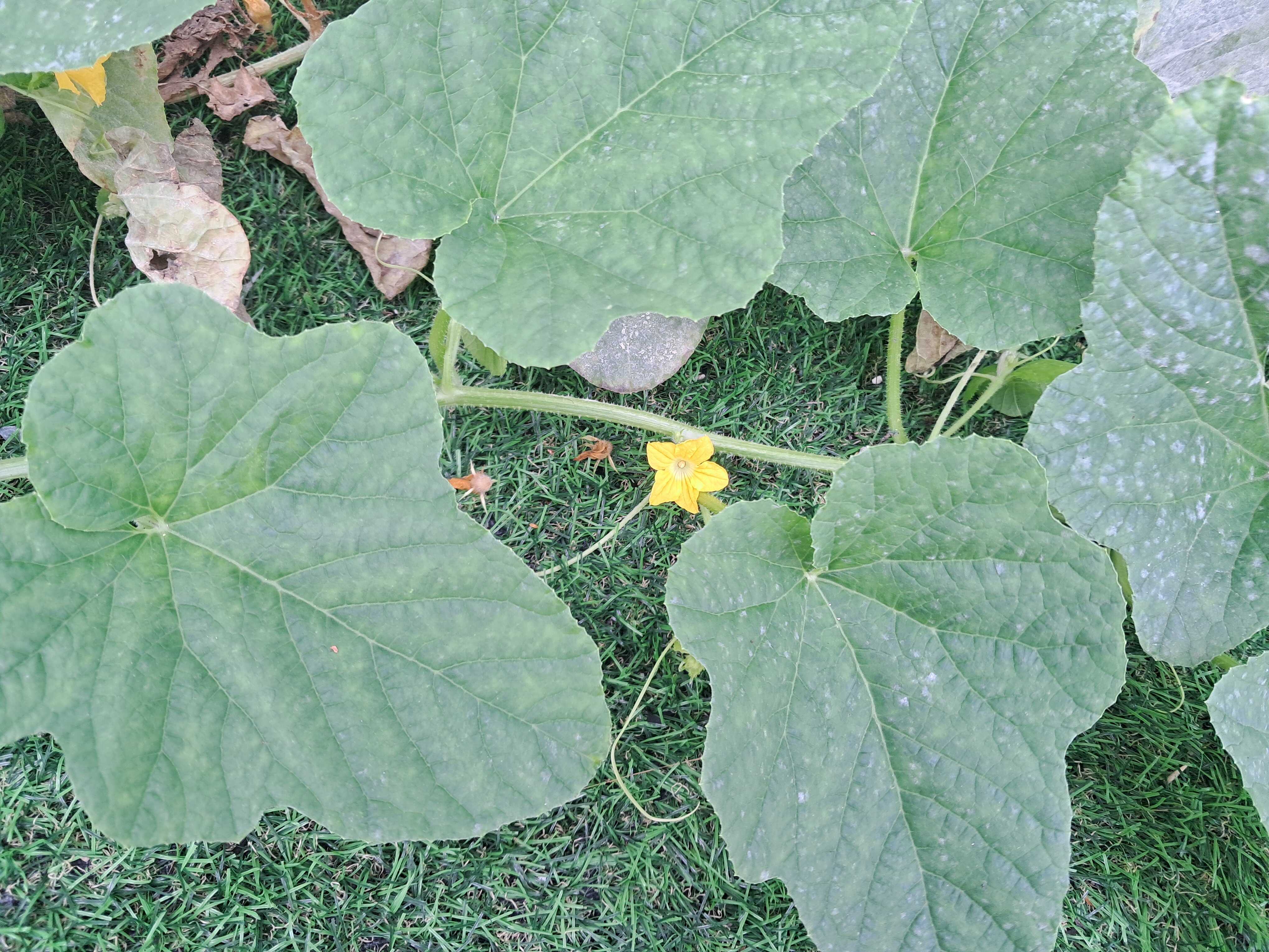 767288e9da9a04d416d746bc4511c2d1cbed02f524ca4d7d7088e5b3ee9752bda7d304a87c5ee52a1fd27af670af37ddfadb2e637c1148e255f96834009ea87e