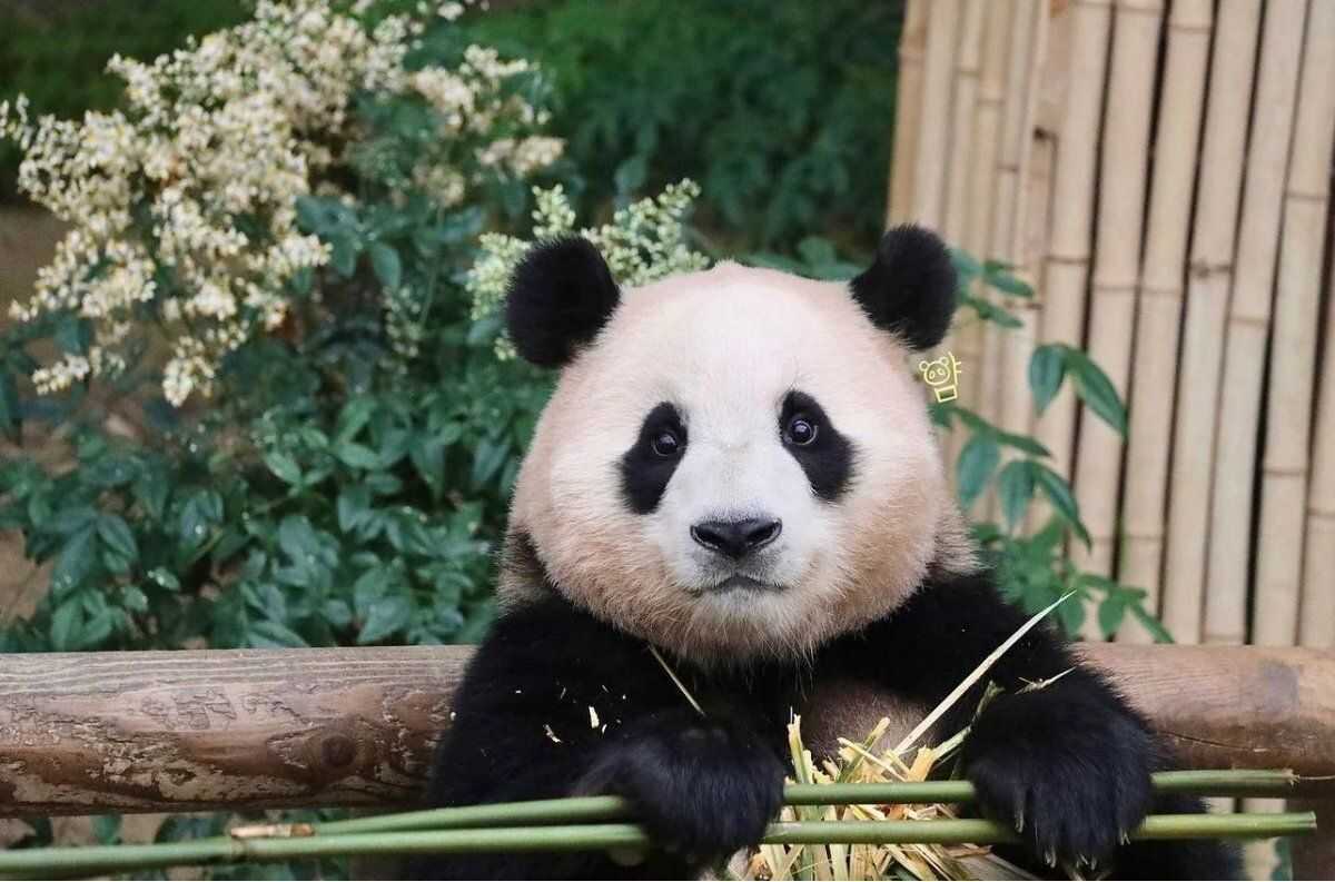 769c08a53a5258dc5c7df3dcf233aefb426c8f3c0ede1a80d9459e39a7b4b510ba9521b03aceff7bf0e0aec4d6ee9680e6e7861eb9e8f97ea503167503e64b69