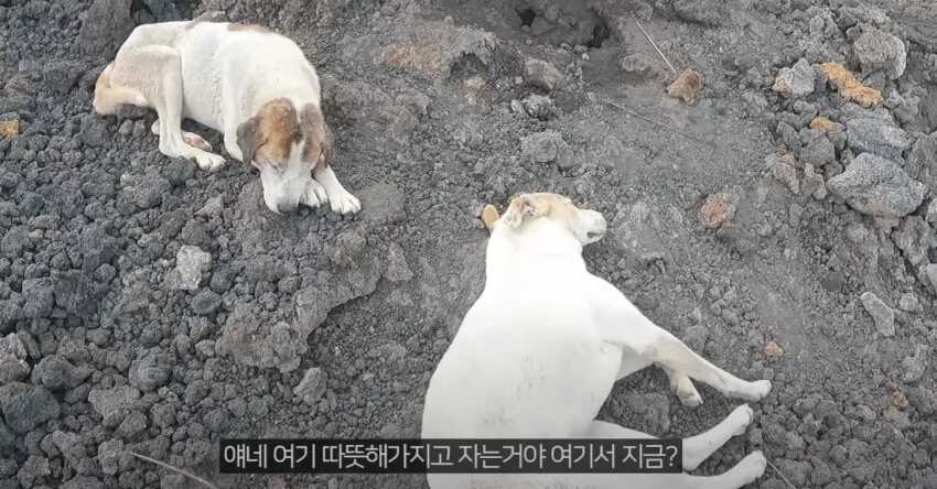 76fe9d0c578eb6382495e02547040783a894c83f9e7c63a32c56f47653ff47ef24c0bc77b02b8bbdf820892148c8c754b1adbf196e2767c59616f6c39cb6f8bb