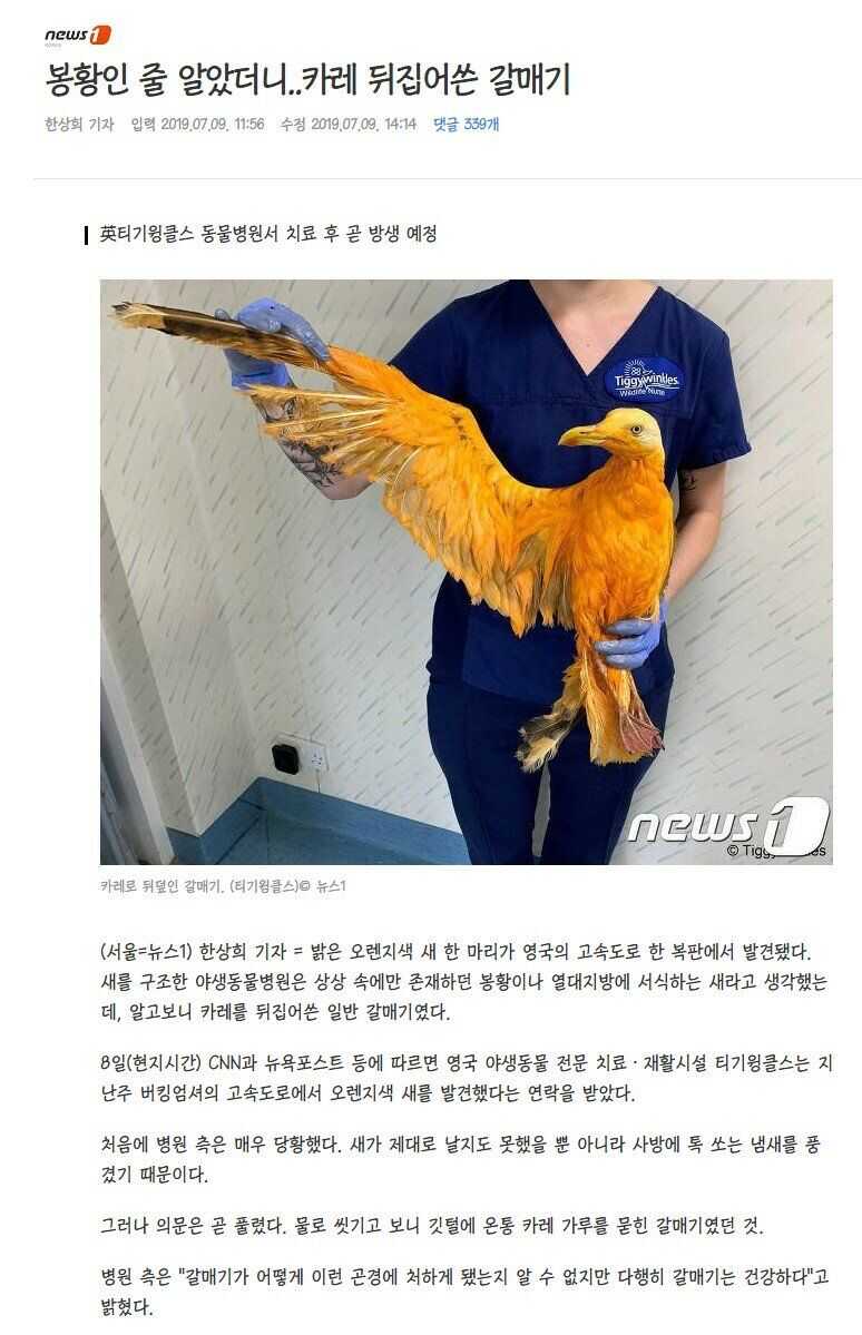 77677bac850a8953dc4683770ded35c447c6cd451c2131a0f5473a93fa2345537451793a904a16f961870011c9025e341e1020b1621fbffe102d8558b75ece90