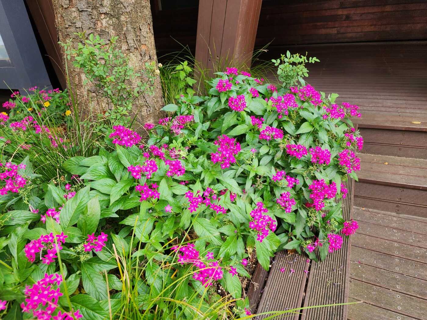 7794af2cf6fe011474b7fbdb55fdbb60c3c8f973a653193378f768046538e6599ad50c5272192ac4781832b4c5a11de2acb7135c7e5335143bc0306af0c9c95f