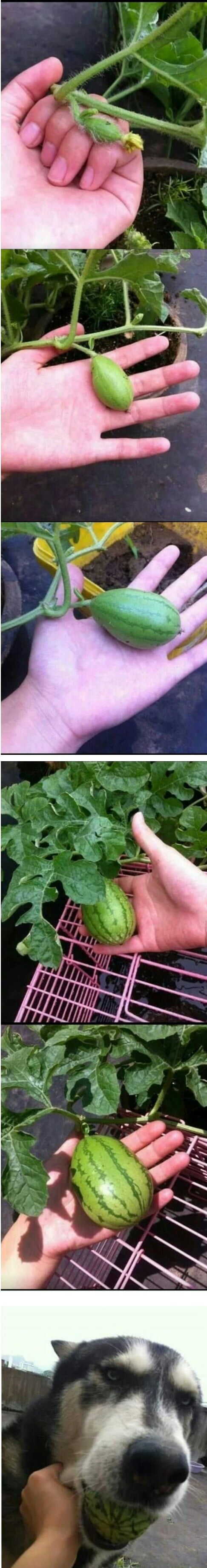 77df1b701623c75a5496684bd2c6d74650ac7db4456fe4fe391b7d7dfcceb0778d85007031047c8e545b85dfa24b197bfd281dac61c306f63102ca4d3cbc8710