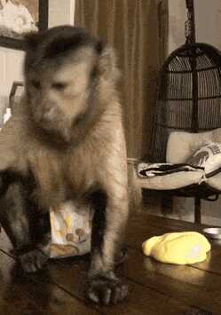 787dcd089e1a888ead7e2c194a0daf7840f9436cf27a1d824b8660b3a801a9b28ffd781b069ea288db2c269146ea31da8a489d05f0632391071ca4394f4250e4