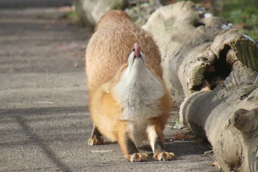 7930491132cdcd7bd04c8374721ce6f985024bbba6ad2d5fe766bf94142c641c8cf969c7d8b13cfad917a9a52f51a56238f1b284da8a47187b0cfeaf8d7c798e