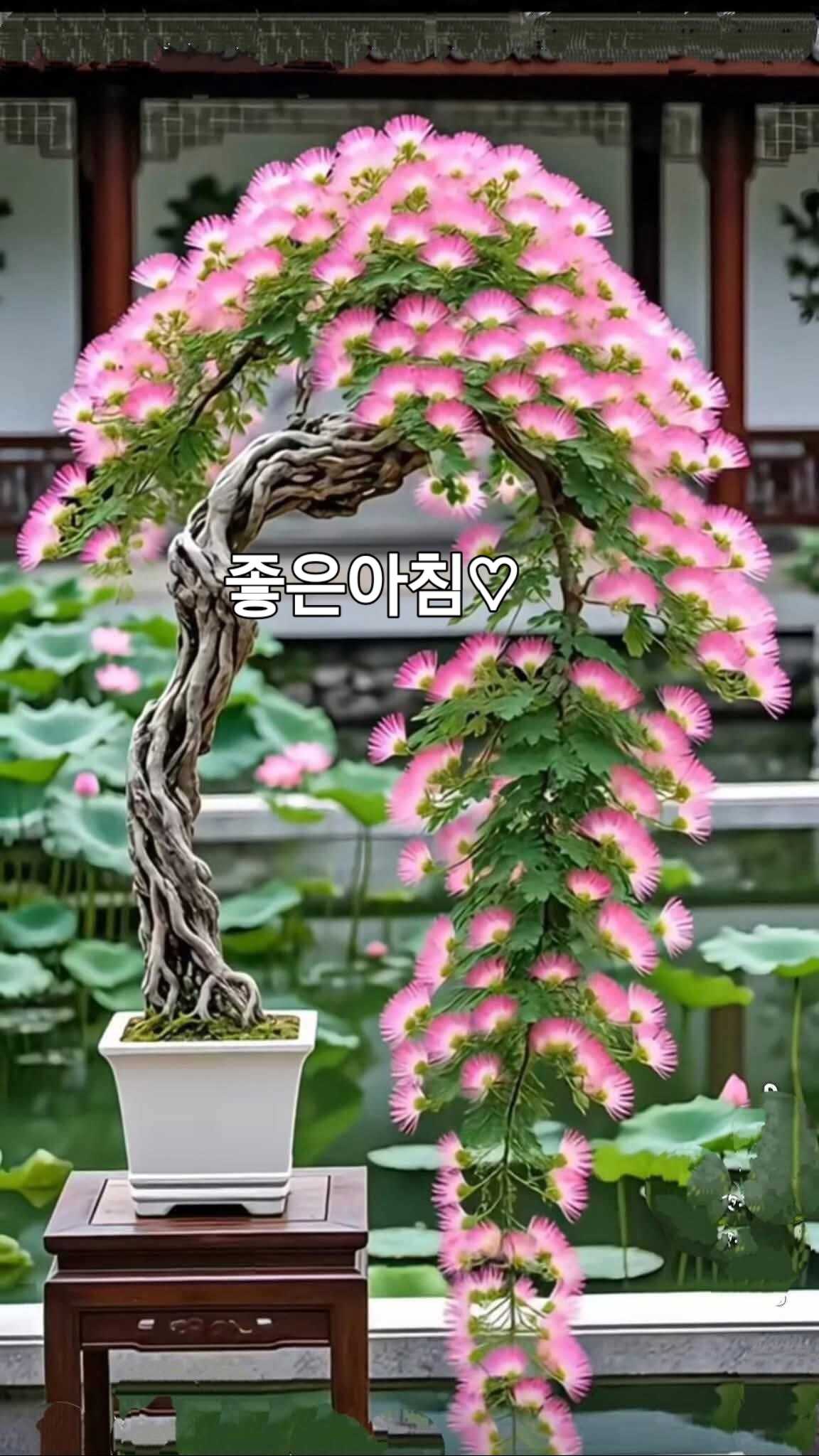 79d3814d970a9538eb5cf193a8d85e86ea4c8439e007c190accaeab938196fd2b7aa4dabb3ec7f8e8cfe8f269fc792f88ca7aada5033ff864f2c62f49da6c024