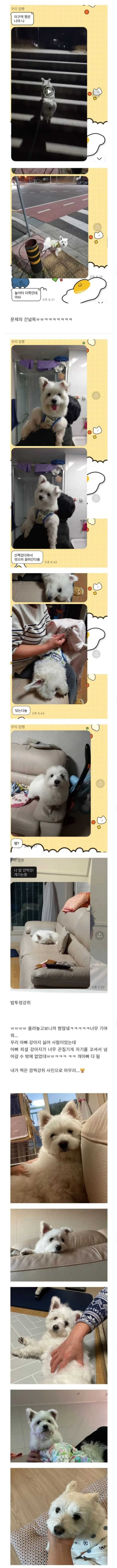 7a195bd2580aba79b0c18cf293ea951e1db4b6aaa4a5f2a94b138cc49835d4b3ad6e2d96c092a8cab71e0e3a27c24d96d007a1dd38b0ee139116466ce0d7e24a