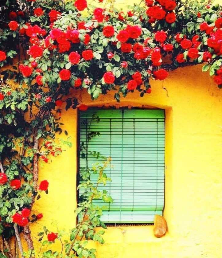 7ada96cad0b228484f7ff08291f7f8e9b9ad167ed5381f25748b04088217a345a949251013c0aa4fff7032899218a77de02664b8286cc34de155fdc13c79f1c4