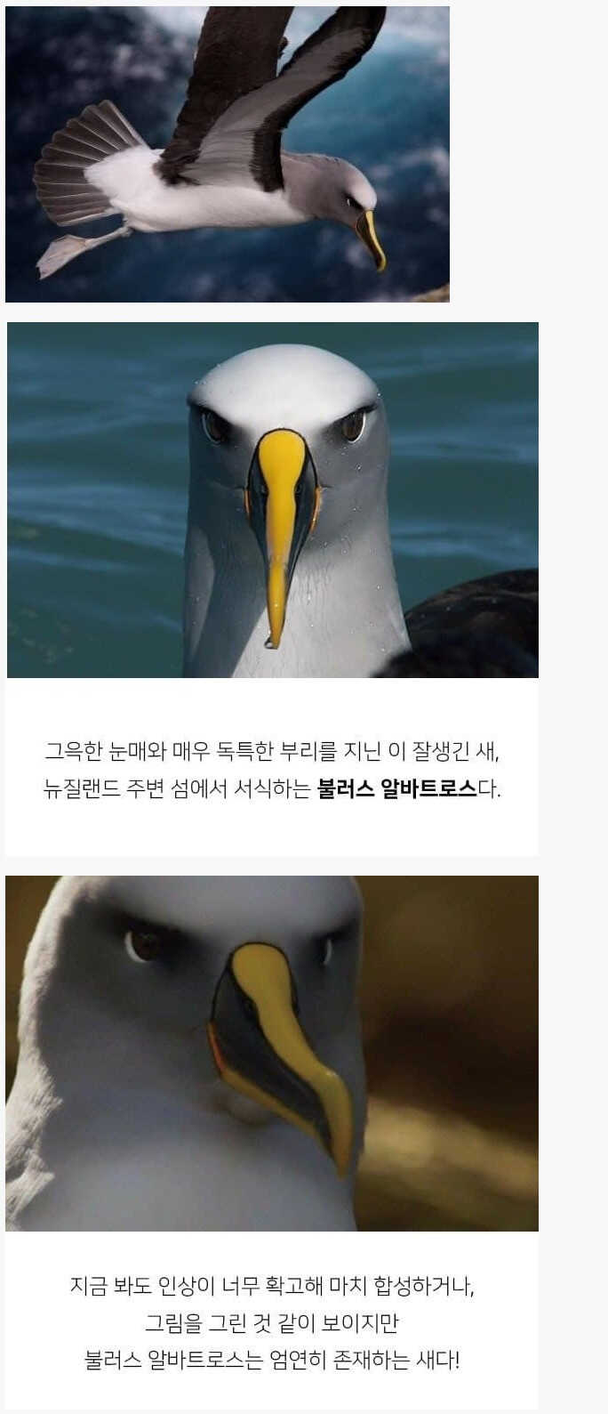 7af3a4bed5294af18156bcf9fa760526639610c2177522cf9a93d6901a249a7dc8effad025742499a9fb112a8d126d0aed640c3310153df4aa0f176fa5abce51