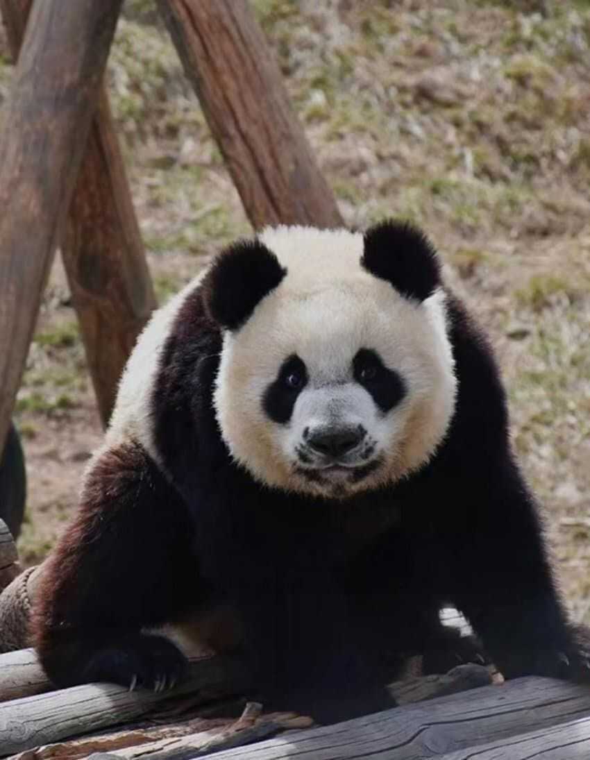 7b2929a071b8f3f200078249c881b2589db7e3d940d8d17aa12b64976999784e50a084bdf6a9c11222caf8167cdc9df716fdf08a27f887c37c9ed3a6ba83d8ae