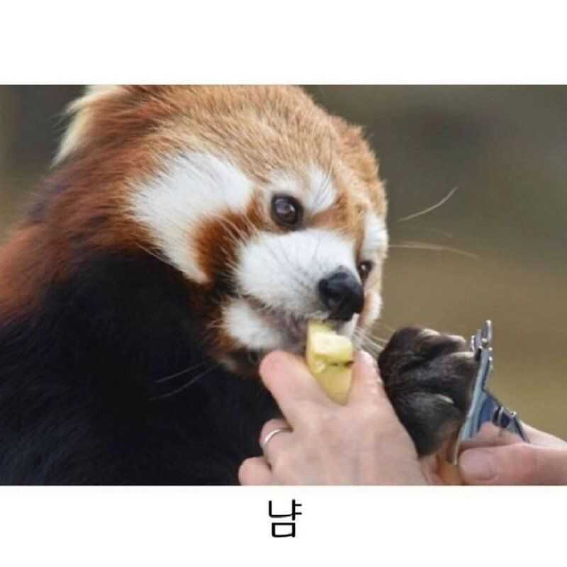 7b38d6bf10018f4940b80d5ddec1d1e24f9e0f901cd10769aa84911bfb31271c3319736eff7a09c47bb9c413d8b309032f06c5c8221fa8726f41d48544b26a29