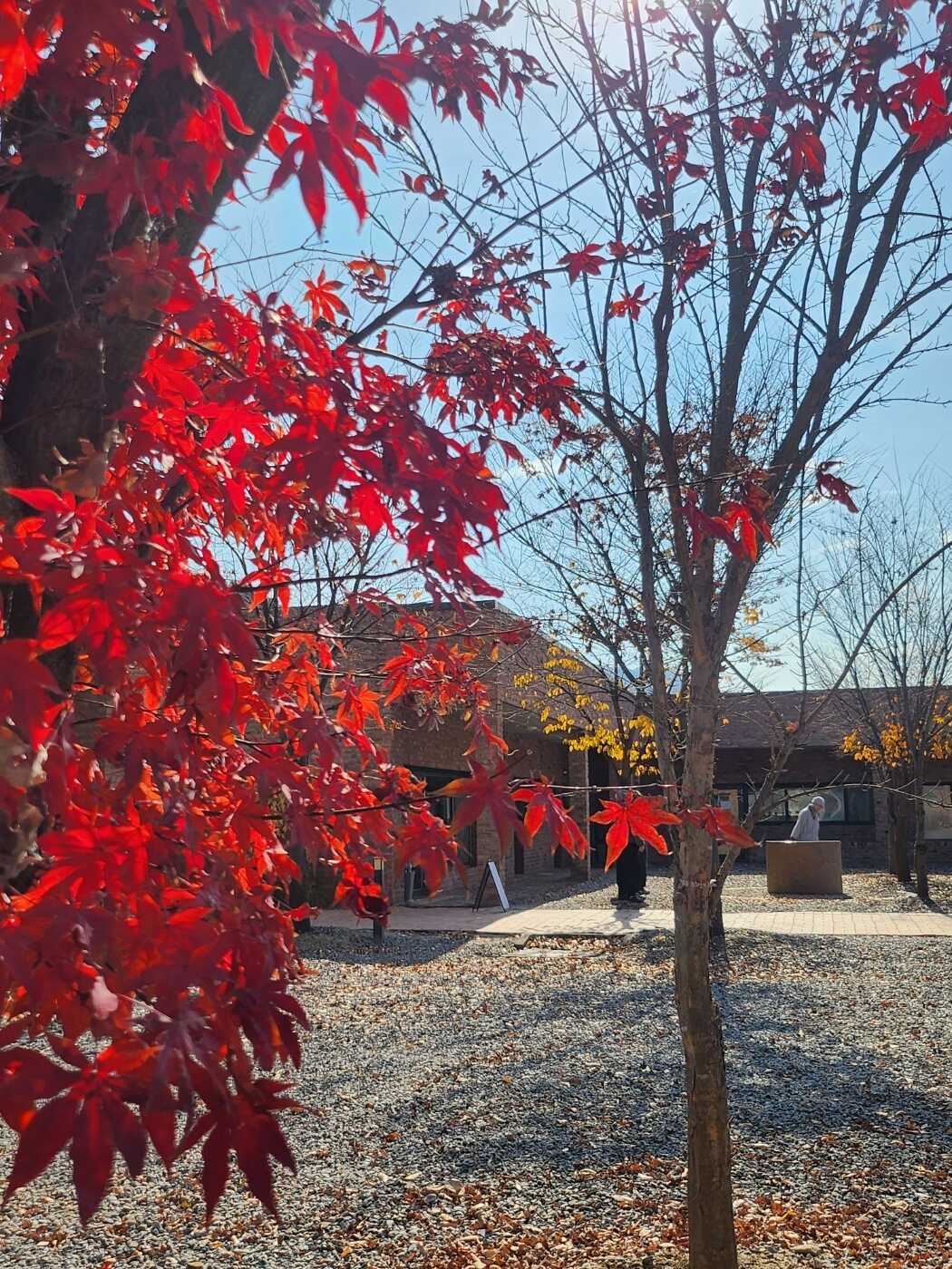 7b85c9356ba55e3e8c17e541352f973f5ebc938586acf049862c430d9cbffbc71ff0167e687a4f9576029b814863b99f3c1d8eba48627eefba8381876b72d321