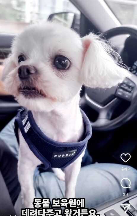 7bfe47f0f9f77d07f057fcf50735f12824828b70f5420bfad8fa78e65480dbb96b51d60e0f1e32a787398554f553c0efd09380ba646e84c044b859edfb3ff41c