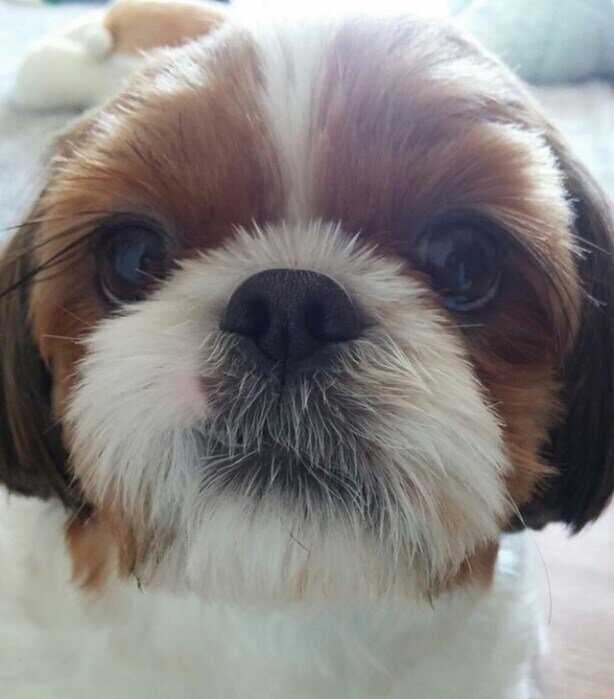 7cc2031f88038f62e12574f337b5fdc06da24b6690213bd8d5af5e6e21354195183fce2c4066f1ffc4fb883e9c8102cdd489bc8ec278ffe199f3a0e97292075a