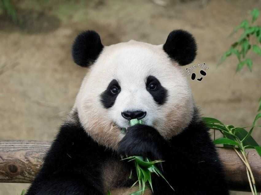 7dc0d16fc4e24ebd8a4627e9cda9da884991953cb142f0917f1f10a1a7862a05a4a02712e8cd5fce98a10a0430fe8746c4be1c5cd5c0b2818f1ff13d1417a3d2