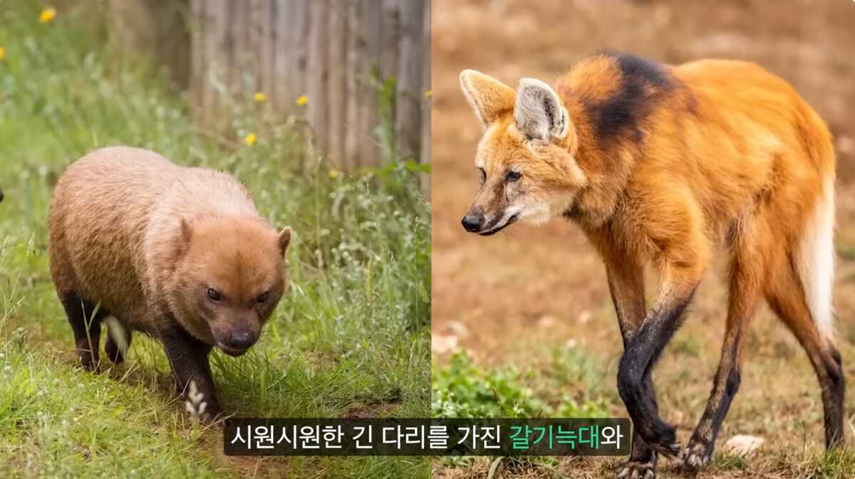 7dda77623538873553a68987e525cf6e14c305f53bac9aeea9e38056836f3ecdbddafb9d63f4367c95b7cf7f99bb9b68d398566b2121d66813ecad246d0a11b3