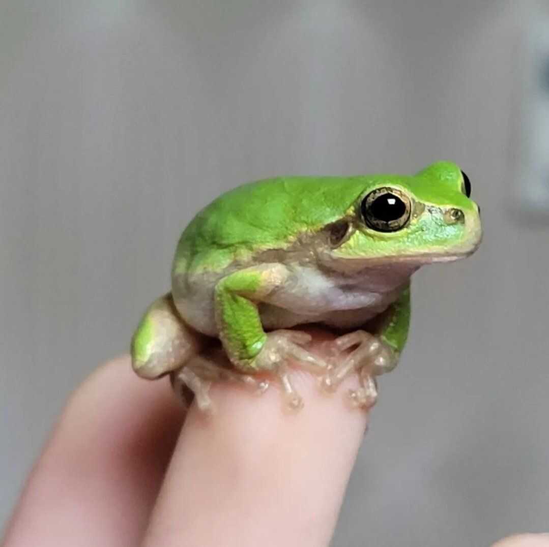 7e2a45bd72d62583908c637be43e5faa3d04fb64f54e779686e81418eb991108c7b5decdc0bd58d3726844fc14a5a090db0abe098e6f1c1c20e1e2dd9dcaadb7