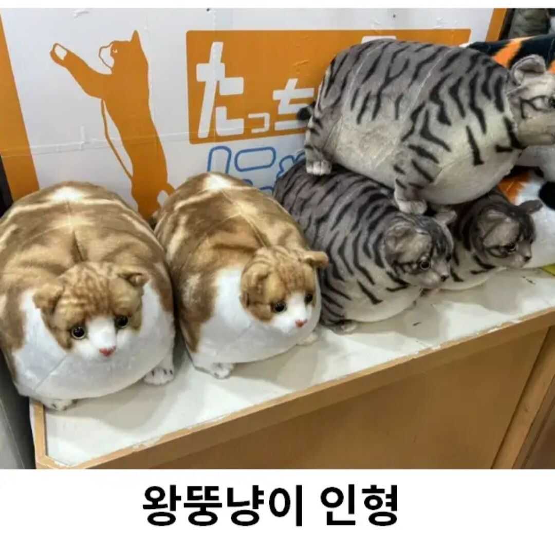 7ec47c7c90bd2bb778588a28362f3fcc2090f779feaf98c56d33cc0a83f701fed8bca08062bc434046a9e13465bcc510e50de7b54685134d4eb524c284b5e97c