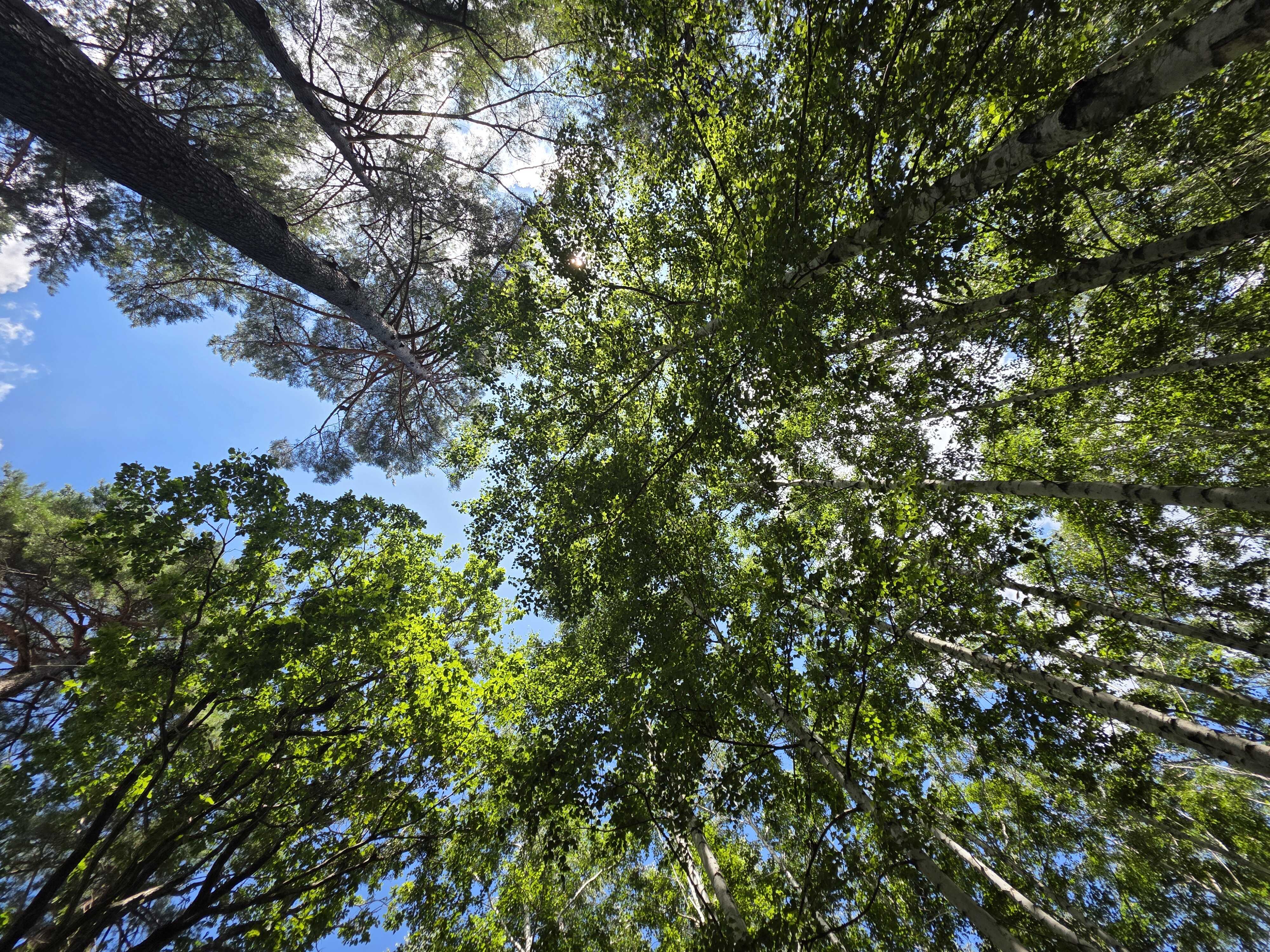 80ebb1e85feb9afea9be1abfd6a972611b1a101e827a8eadb359092ba3b1925661a39d57b8e94eff400e2776e315d0b63cdccbfe34aadccb4b87354801e61ff3