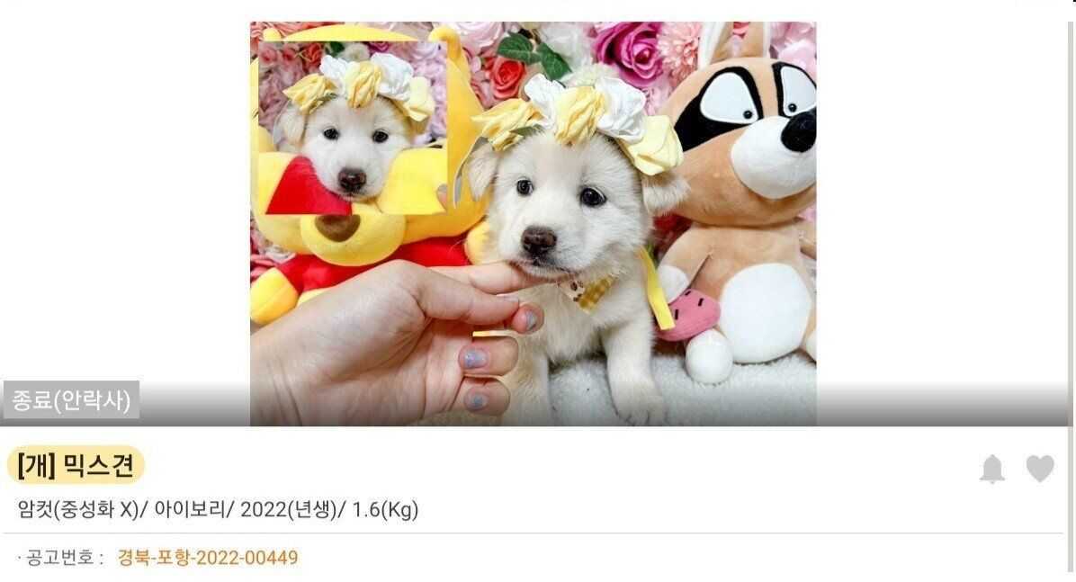 814cd045bdcc2313e4cd28d4cd75b84b1f28ff71e014da07c7ff572a5d22602763fc0a635498d06d0ae746bfda4e9ea49dbc2dd190fcbcd3af9d6a314924d6d1