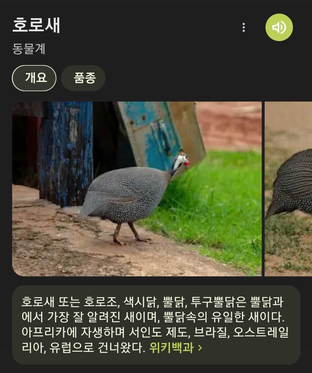 81ac44d8b3911193e04eebf38b03050d7168c1cdc58fec2315666faa63959f350a9403536d88dff9a487ab86d381244e14818f81d10230dfca2c6d1e9eb28093