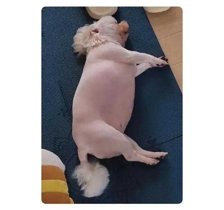 82246a067d35d85a65537bfc5ab5f65dd2551b2387dc620007999637f702c28f1a7bf7930d3a7152f8f4deccc8f294bf3a2b12d54b66bee8b8529c2cf23f569f