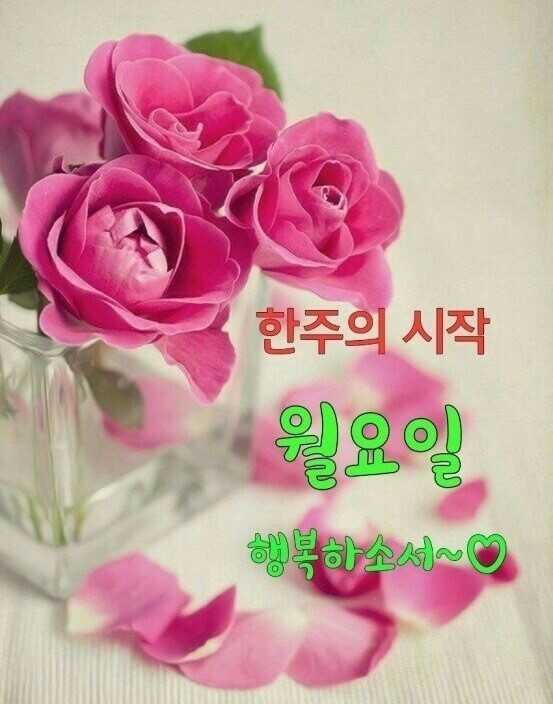 82d733b7053df3d38642cb25ac7057b27f8d685b14a2d9d0189988ce43819eec06026a2590ac0c1e2b37a83c59184b9bbc28c761010a3791327fa13793290f25