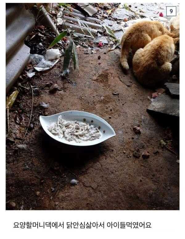 82eb5eddd92b7047c1d4c10062a47664f1ade79c20c259e7fa4f0cd2b9afb4e2928f0d73b3eaca0167df44b9308a93252036a3ab8e35a964b8b72f2fd7f5b9e5