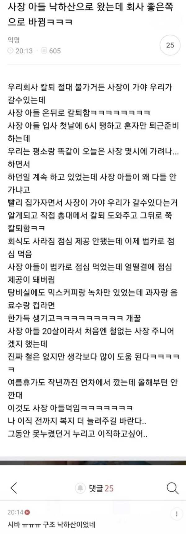 낙하산으로 들어온 사장 아들.jpg