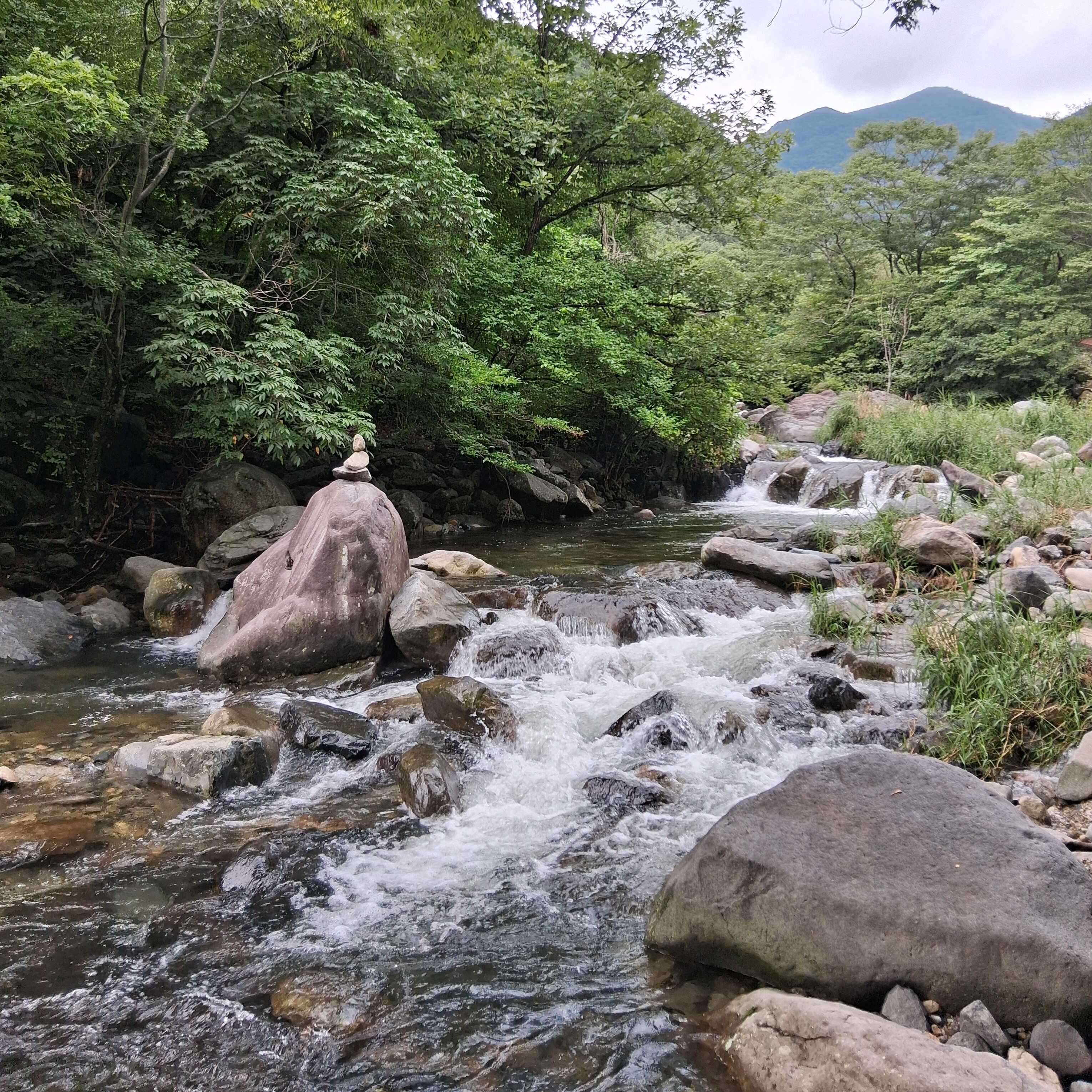 845ca812919db15e161062d1f50da2e53ba5eb4a8e15f3b53c12bcab3874ac0d05ab16b6fd6fd4c333d30e54950ab785e33e544625a4c43b6c6acab598d1f3af