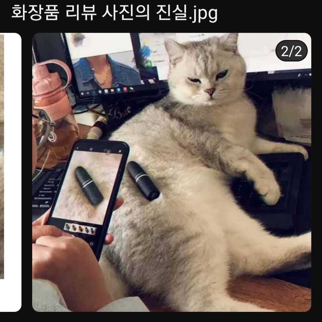 846121472aaca99d17dfb57e8c7bfc74bdb0493b4d6ab13ba171163b9e15267305593057878ca4cc740ed1ccd1c005f76815cbc94be74fafa330156475130a9f