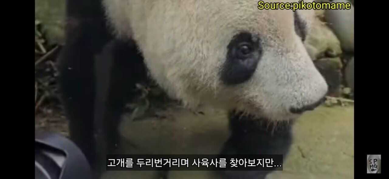 8483d86fe65c973b4c800d561eff10dbba8bf67eb1c3f851f91aaa1f448e37ad006d7895c3857a6d89749445e8241c2f55b2c4de5214eb1242c57e985c6692ab