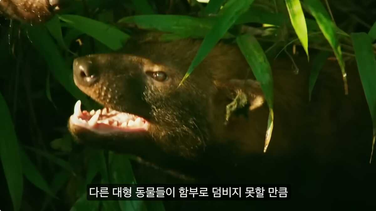 8486f6fb5165f3593af2500ad39d993e4fe7ef60e9e36fbb68239490b06d57154a351ce032293ae60a56d857698cf20cf0faab933b5e53cbbd60a11fa54fea21